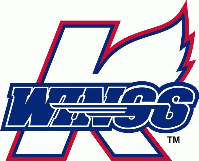 kalamazoo wings 2009-pres primary logo iron on transfers for clothing